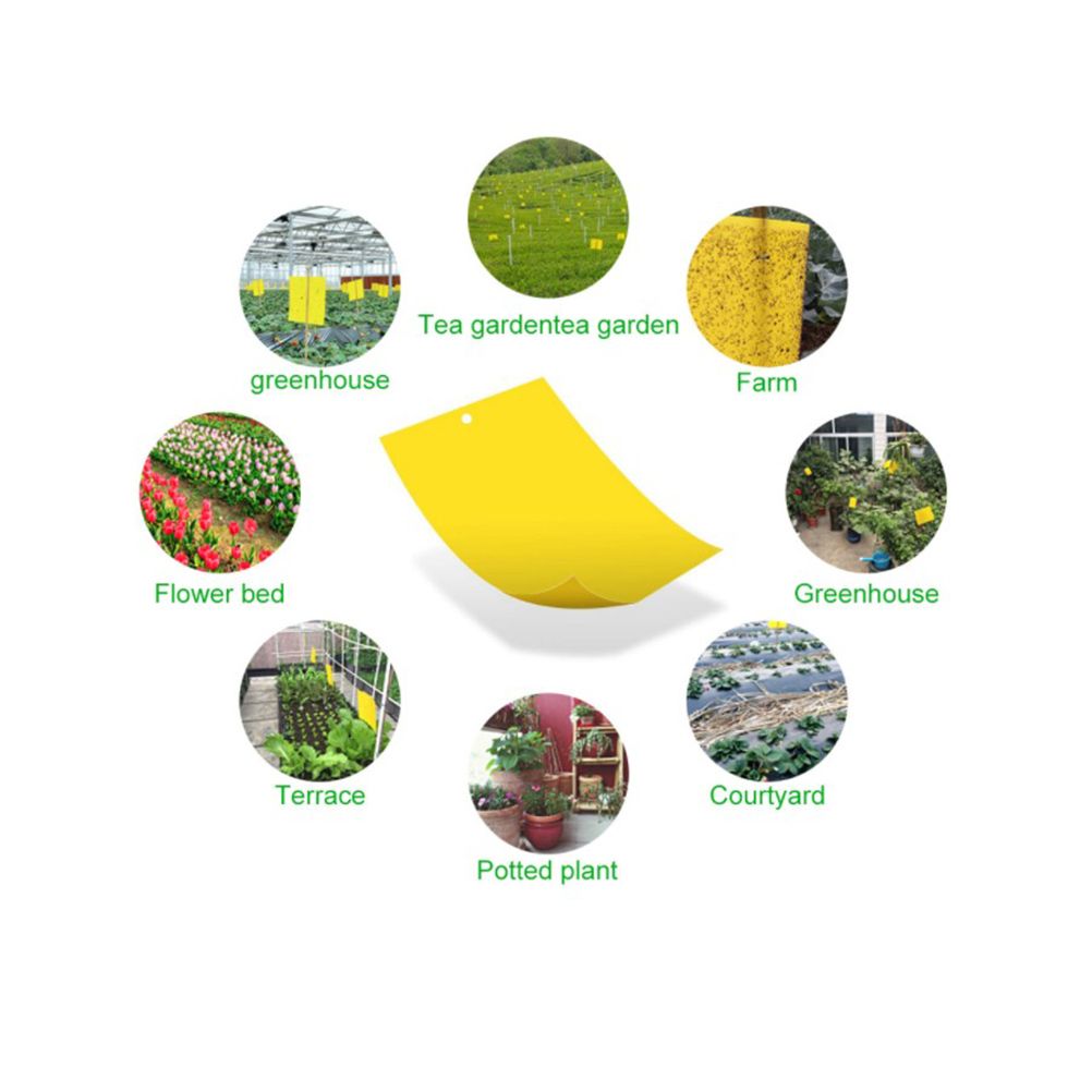 Yellow Sticky Traps Dual Sided Sticky Traps for Capturing Flies Aphids and Other Flying Insects