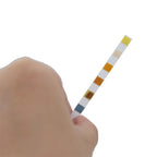 6 in 1 Water Test Strips Water Quality Testing Stripes in Pool Spas for Total Chlorine Free Chlorine Bromine Total Alkalinity Cyanuric Acid and Total Hardness