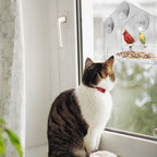 Clear Glass Window Bird Feeding Window Bird Feeders Clear Acrylic Glass Window Bird Feeder