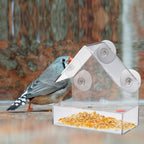 Clear Glass Window Bird Feeding Window Bird Feeders Clear Acrylic Glass Window Bird Feeder