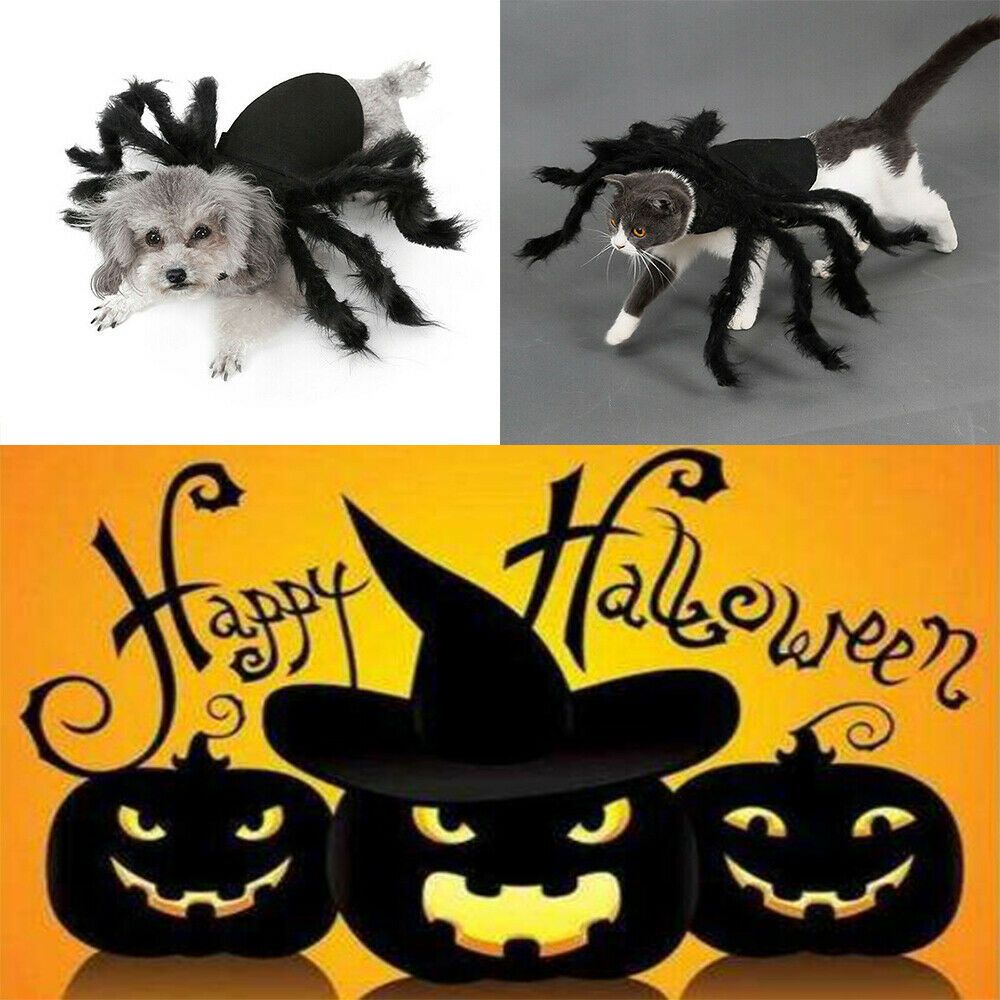 Pet Spider Costume Halloween Pet Spider Clothes Dog Cat Horror Simulation Plush Spiders Dress Up Costume