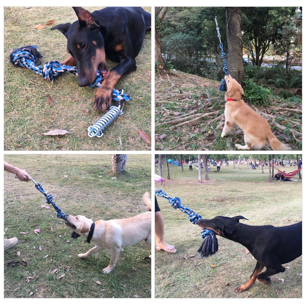 Spring Pole Dog Rope Toy Dog Tug of War Toy Outdoor Pet Exercise Rope