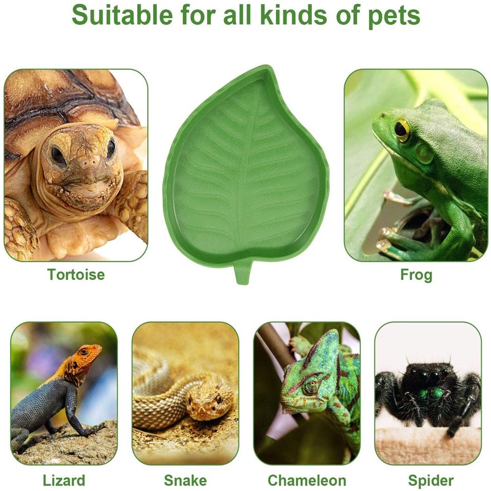 2PCS Leaf Reptile Food Water Bowl Plate Dish for Tortoise Snake Crawl Pet Drinking and Eating