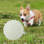 Pet's Luminous Ball Bite Resistant Dog Ball Soft Pet Toy Puppy Interactive Supplies
