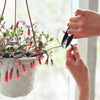 Bonsai Pruning Shears Mini Bonsai Scissors Small Garden Cutters for Buds and Leaves