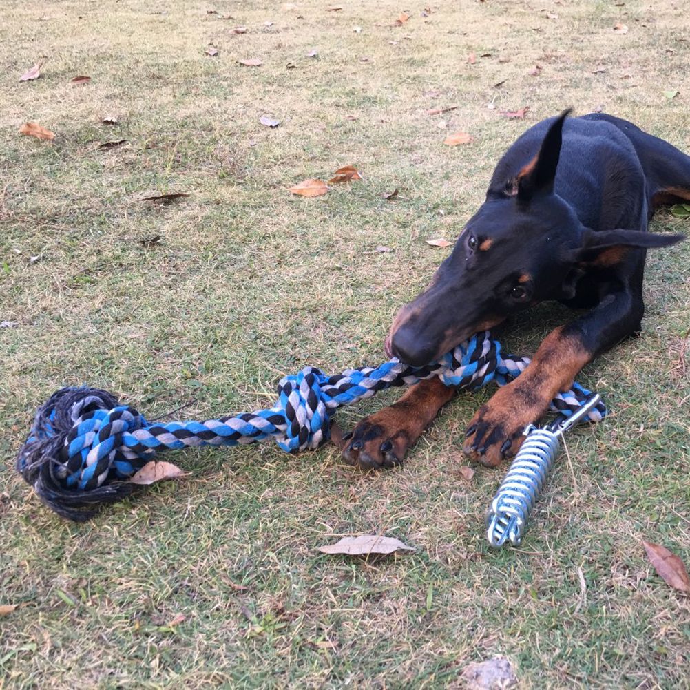 Spring Pole Dog Rope Toy Dog Tug of War Toy Outdoor Hanging Exercise Rope for Pet