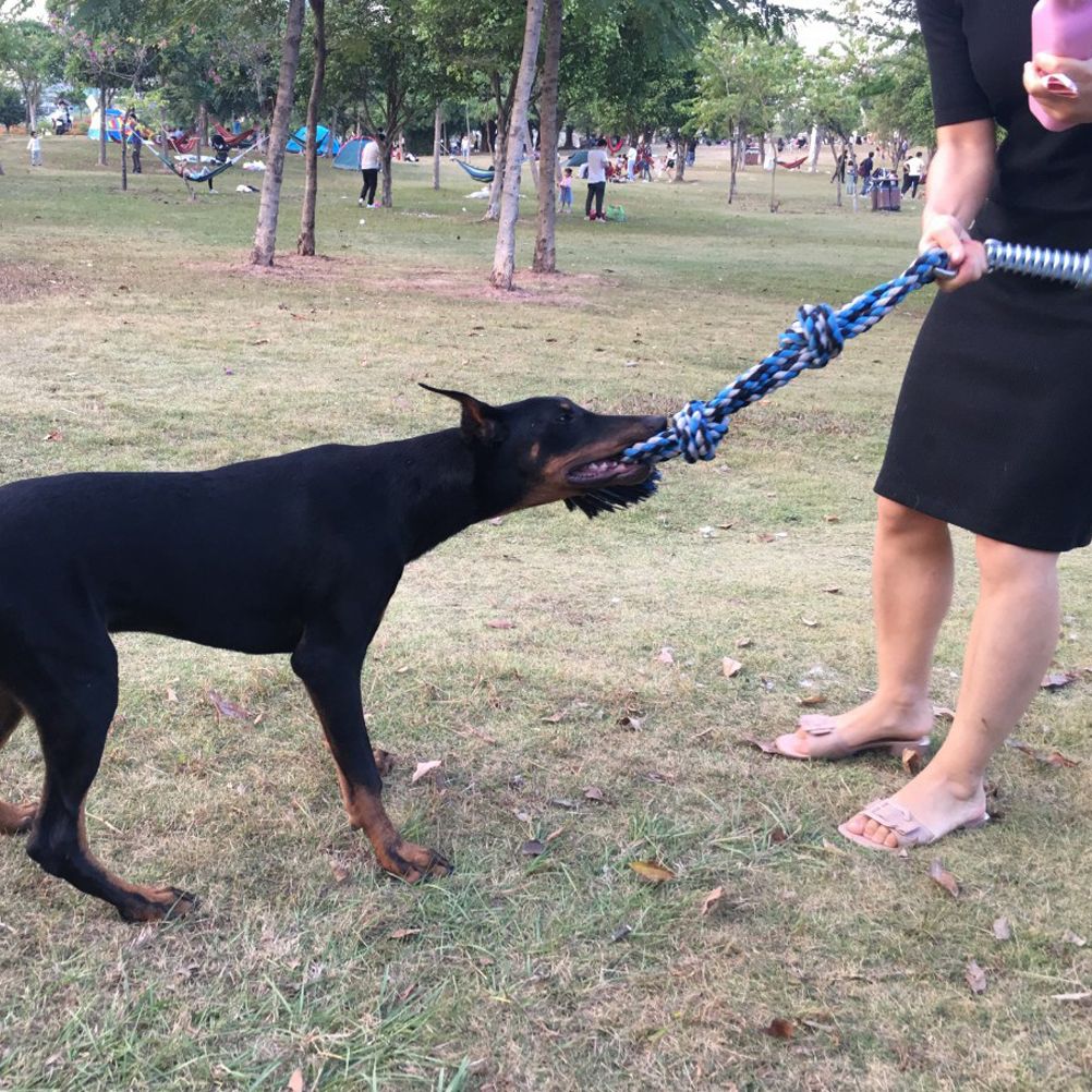 Spring Pole Dog Rope Toy Dog Tug of War Toy Outdoor Hanging Exercise Rope for Pet
