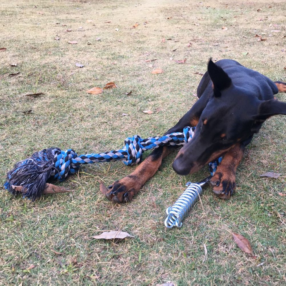 Spring Pole Dog Rope Toy Dog Tug of War Toy Outdoor Hanging Exercise Rope for Pet