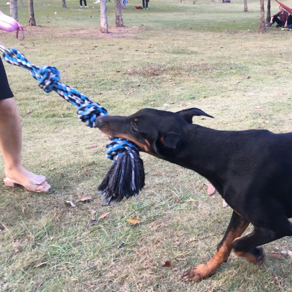 Spring Pole Dog Rope Toy Dog Tug of War Toy Outdoor Hanging Exercise Rope for Pet