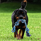 Spring Pole Dog Rope Toy Dog Tug of War Toy Outdoor Hanging Exercise Rope for Pet