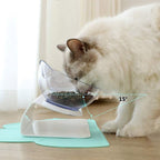 Cat Bowls Pet Feeding Bowl Cat Water Bowl Durable Fall Resistant 15 Degree Tilt Single Cat Food Bowl