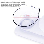 Cat Bowls Pet Feeding Bowl Cat Water Bowl Durable Fall Resistant 15 Degree Tilt Single Cat Food Bowl