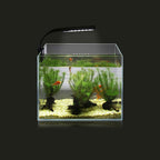 10W Ultrathin LED Aquarium Light Highlight Aquarium Lamp with Clip