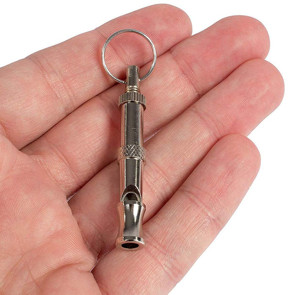 Portable Pet Dog Whistle Keychain Two Tone Ultrasonic Flute Stop Barking Sound Repeller Dog Training Whistle