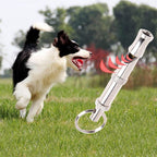 Portable Pet Dog Whistle Keychain Two Tone Ultrasonic Flute Stop Barking Sound Repeller Dog Training Whistle