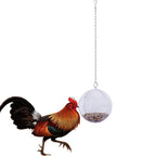 Hanging Foraging Ball Chicken Foraging Toy Plastic Pet Feeding Ball for Bird Hens