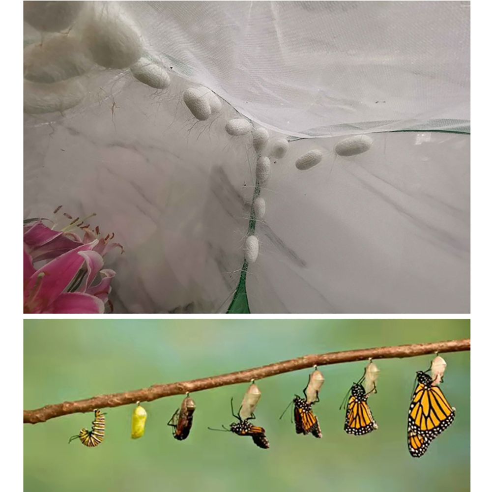 Portable Insect Butterfly Habitat Cage Insect Housing Enclosure Breeding Cage
