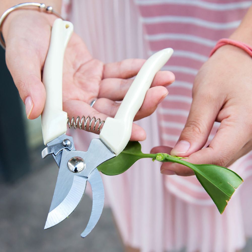 Stainless Steel Anti Slip Gardening Pruning Shear Scissor Cutting Tools Set Pruner Tree Cutter Home Tools