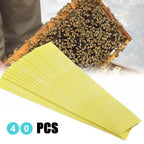 40Pcs Manhao Fluvalinate Stripes Mite Varroa Beekeeping Medicine