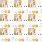 Daisy Balloons Set Aluminum Film Reusable Party Decoration Balloons for Baby Shower Wedding Birthday