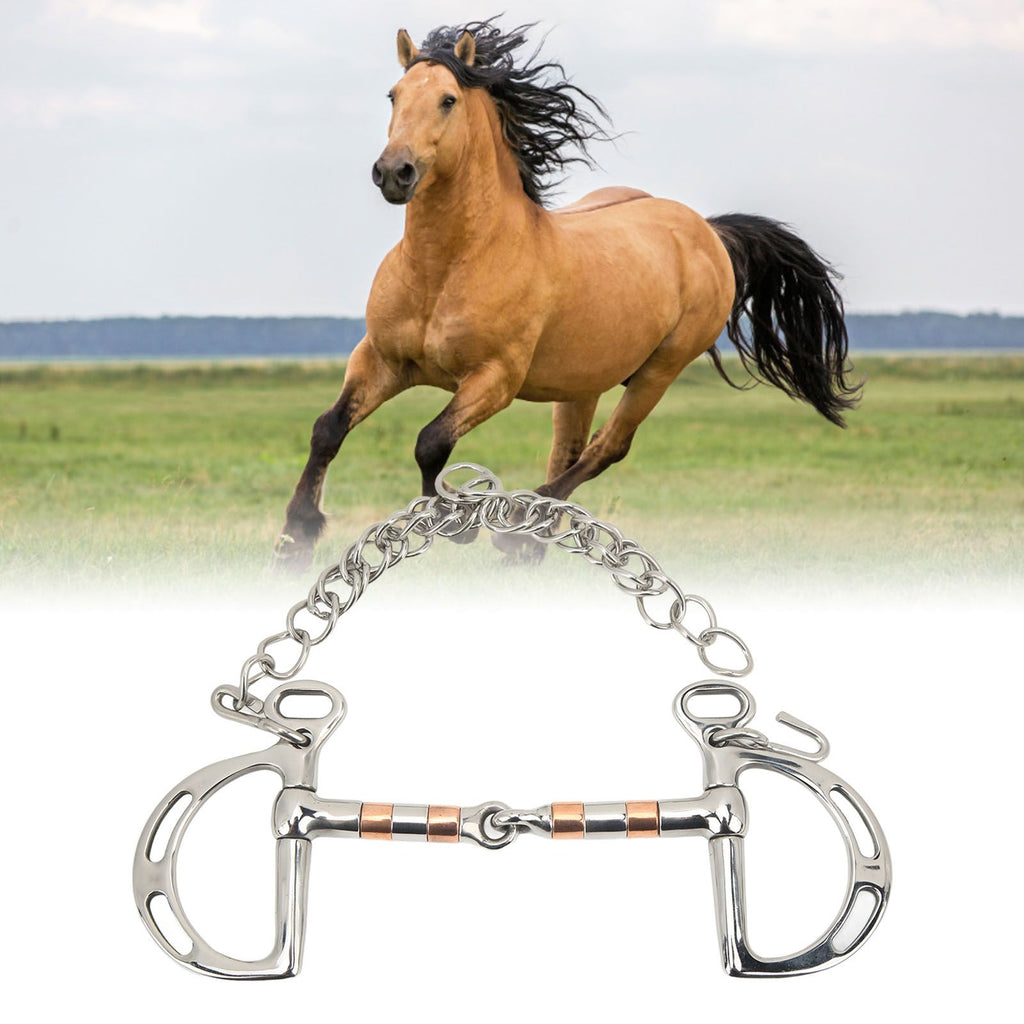 Horse Bit Stainless Steel Copper D Ring Snaffle Bit with Chain for 125mm Horse Mouth