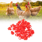 100pcs Poultry Feet Rings PP Plastic Reusable Chicken Duck Goose Leg Bands for Identification Red 16mm/0.6in
