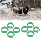 100 Pcs Poultry Feet Ring Open Type Buckle Breeding Chicken Duck Goose Foot Ring Chicken Accessory Green 16mm