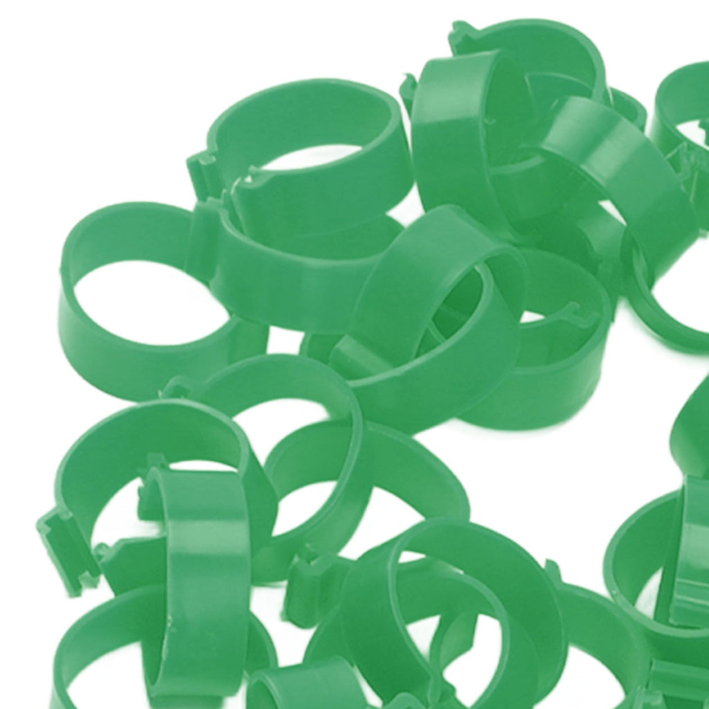 100 Pcs Poultry Feet Ring Open Type Buckle Breeding Chicken Duck Goose Foot Ring Chicken Accessory Green 16mm