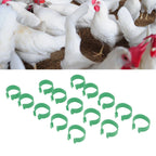 100 Pcs Poultry Feet Ring Open Type Buckle Breeding Chicken Duck Goose Foot Ring Chicken Accessory Green 20mm