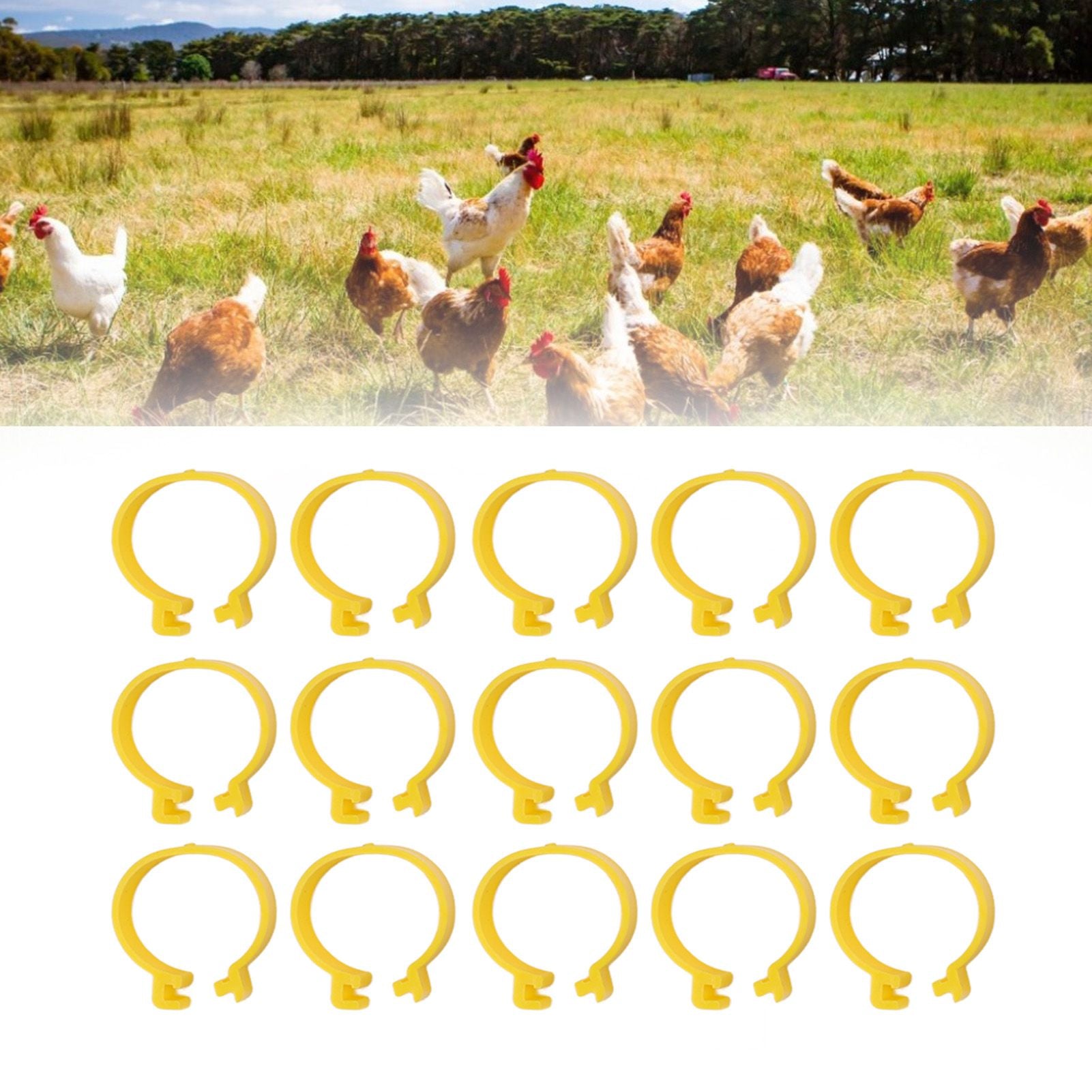 100PCS Chicken Ankle Rings Reusable Plastic Duck Leg Bands Clips For Breeding Chickens Ducks Geese Yellow 18mm/0.71in