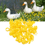 100PCS Chicken Ankle Rings Reusable Plastic Duck Leg Bands Clips For Breeding Chickens Ducks Geese Yellow 18mm/0.71in