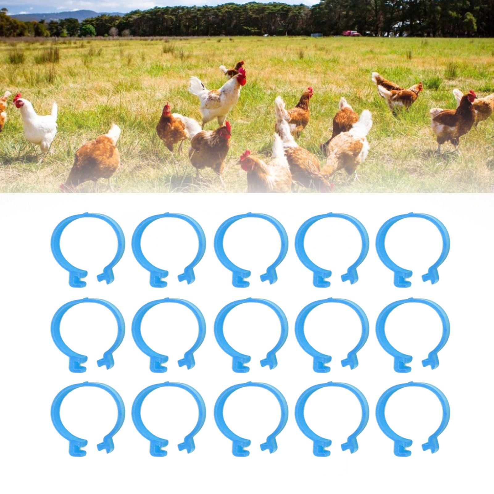 100Pcs Poultry Foot Ring Chicken Bird Duck Identification Leg Bands Open Type Buckle Chicken Ankle Rings Blue 18mm