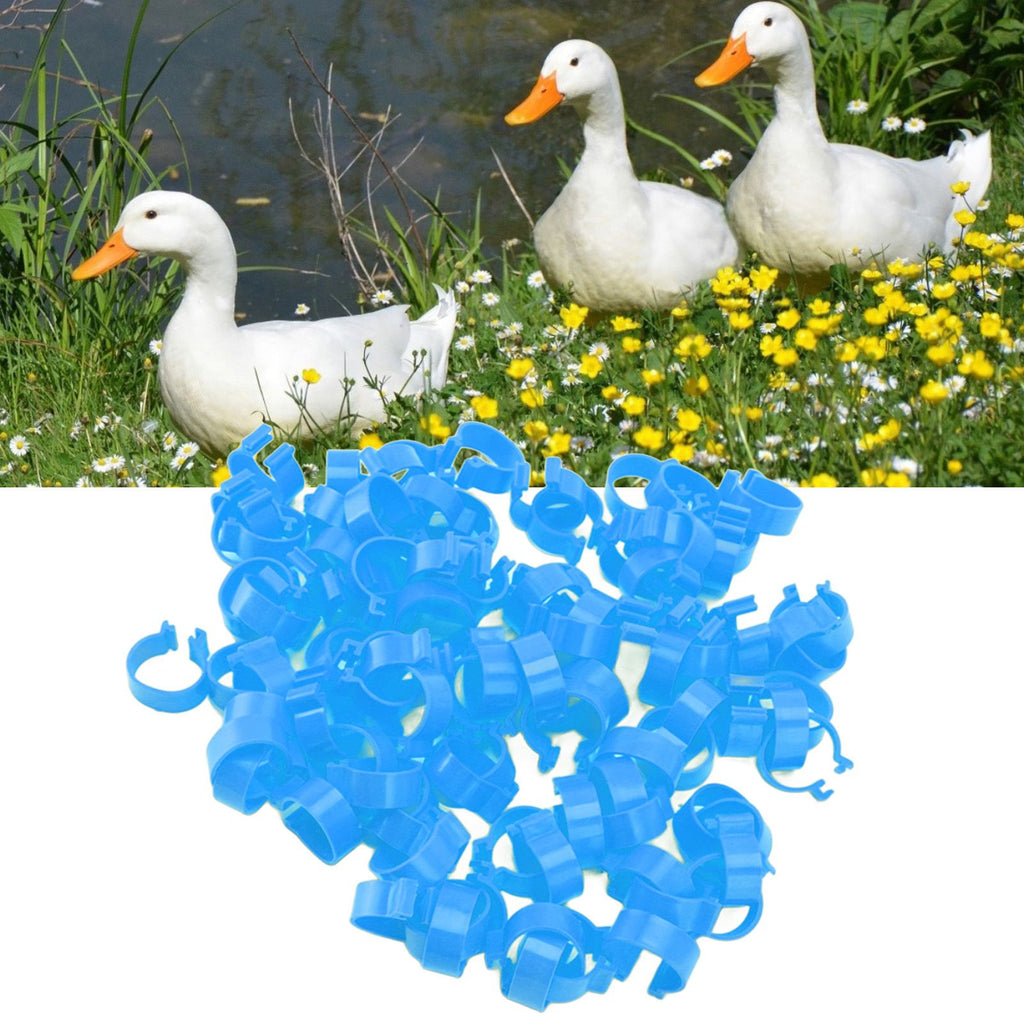 100Pcs Poultry Foot Ring Chicken Bird Duck Identification Leg Bands Open Type Buckle Chicken Ankle Rings Blue 20mm