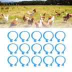 100Pcs Poultry Foot Ring Chicken Bird Duck Identification Leg Bands Open Type Buckle Chicken Ankle Rings Blue 25mm