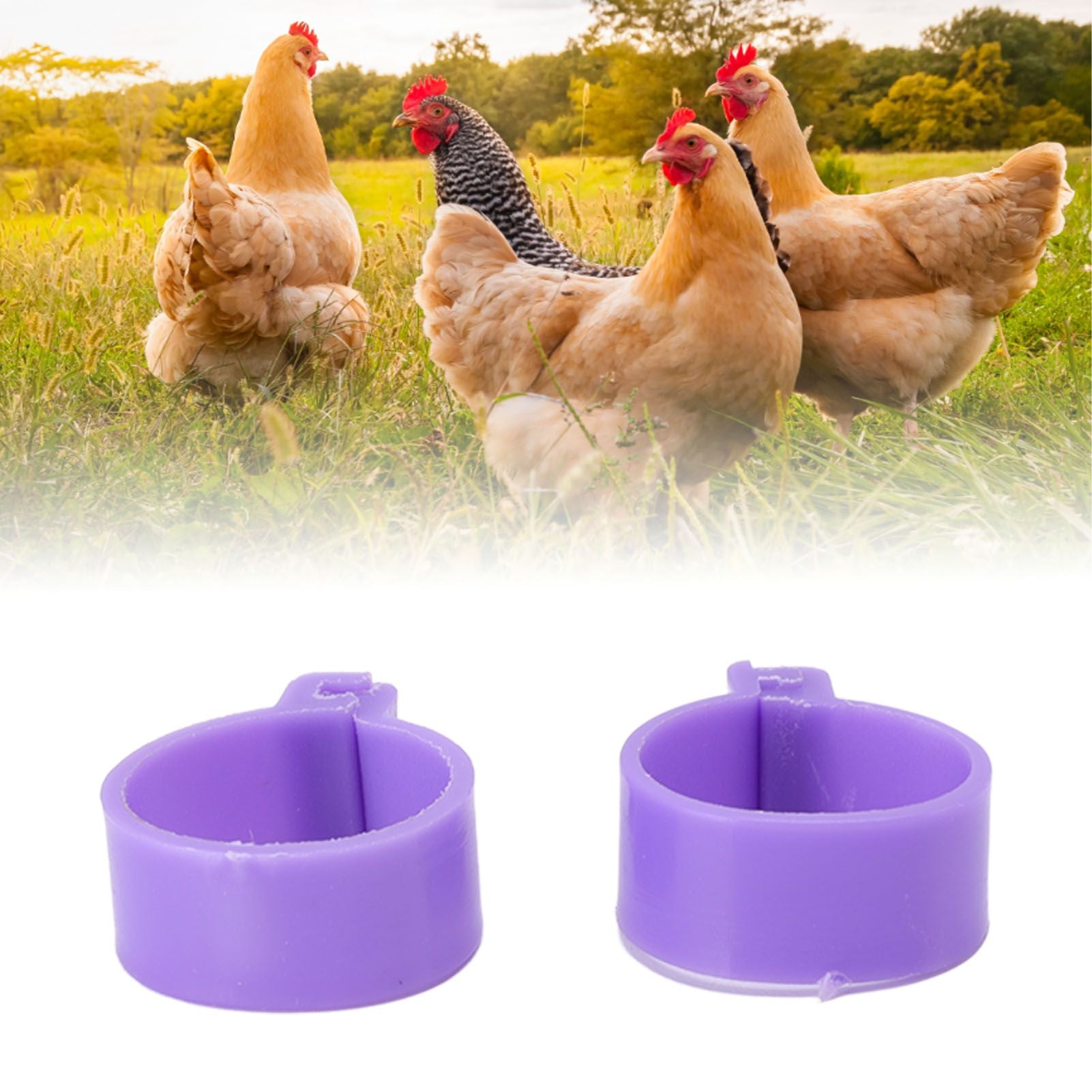 100 PCS Chicken Foot Ring Duck Hen Goose Legs Rings Clip Poultry Foot Ring Farming Tools Purple 20mm/0.79in