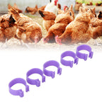 100 PCS Chicken Foot Ring Duck Hen Goose Legs Rings Clip Poultry Foot Ring Farming Tools Purple 20mm/0.79in