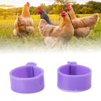 100 PCS Chicken Foot Ring Duck Hen Goose Legs Rings Clip Poultry Foot Ring Farming Tools Purple 25mm/0.98in