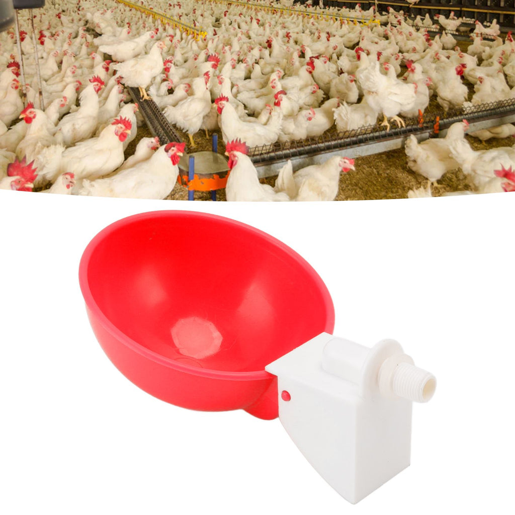 10PCS G1/8 Male Thread Chicken Waterer Cup Thicken Automatic Poultry Water Feeding Equipment for Quails Birds Red