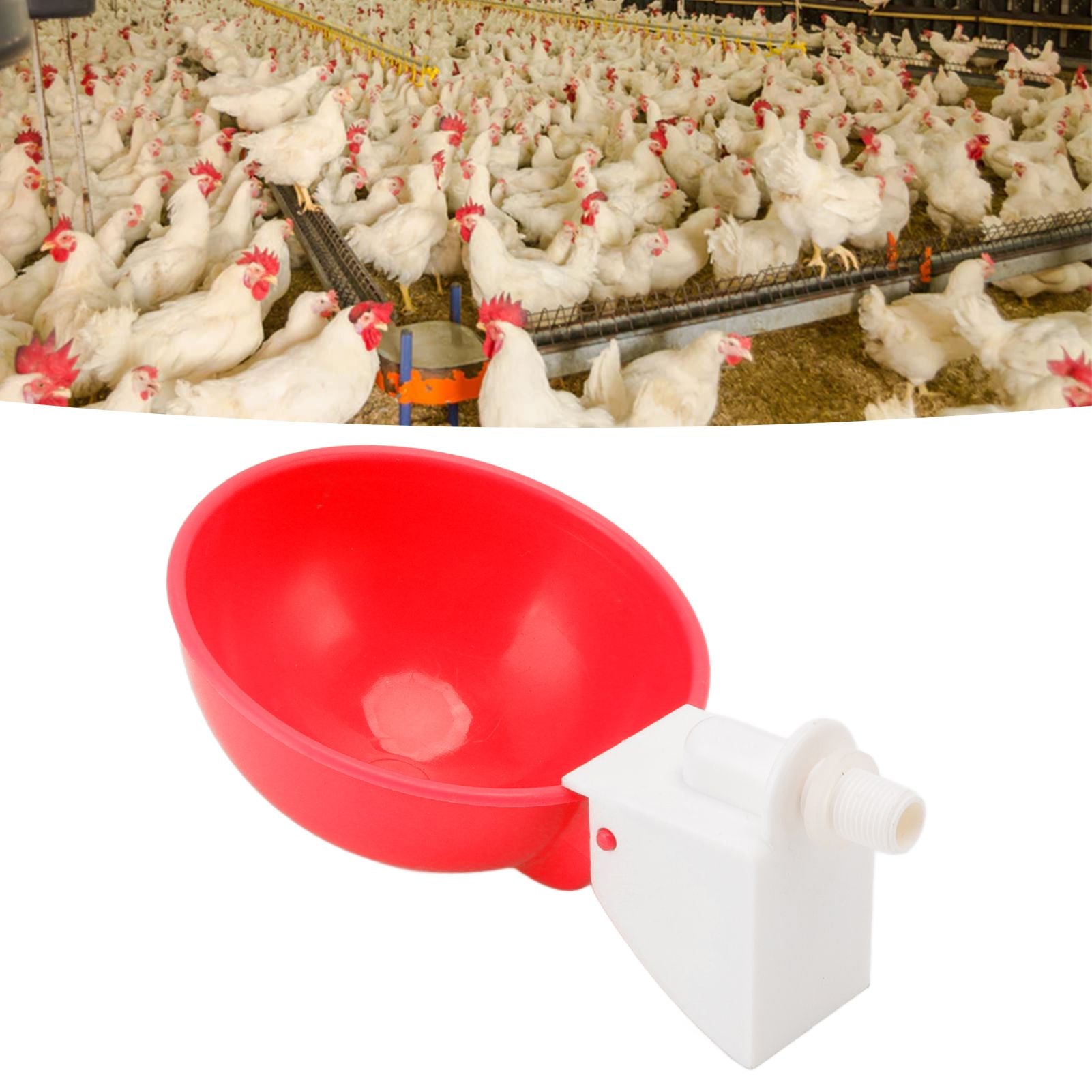 10PCS G1/8 Male Thread Chicken Waterer Cup Thicken Automatic Poultry Water Feeding Equipment for Quails Birds Red