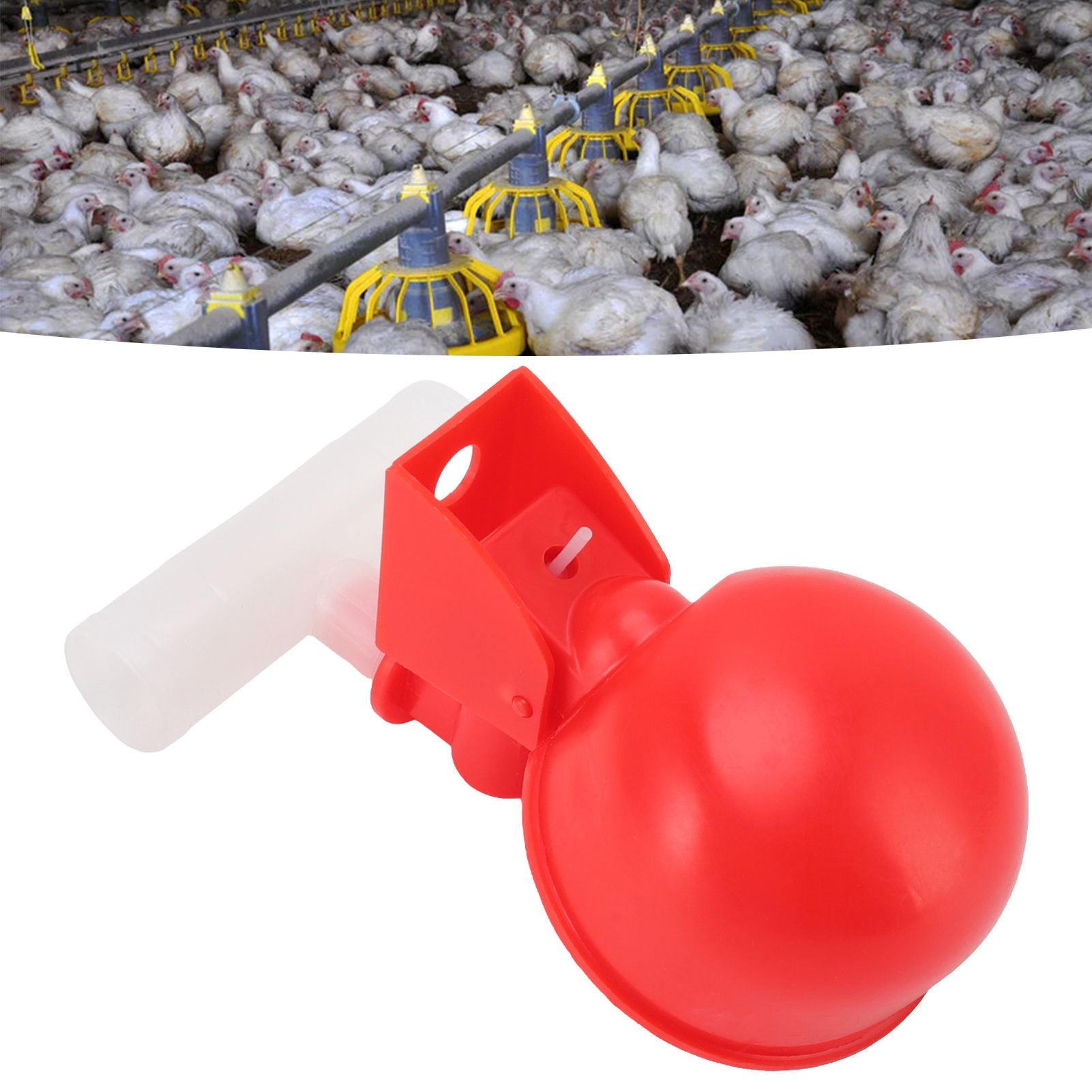10 Set Chicken Waterer Cups Automatic Filling Prevent Leakage Pigeon Drinking Bowl for Ducks Birds G1/2