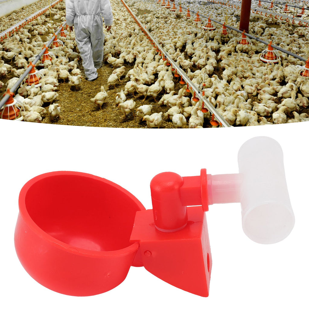 10 Set Chicken Waterer Cups Automatic Filling Prevent Leakage Pigeon Drinking Bowl for Ducks Birds G3/4