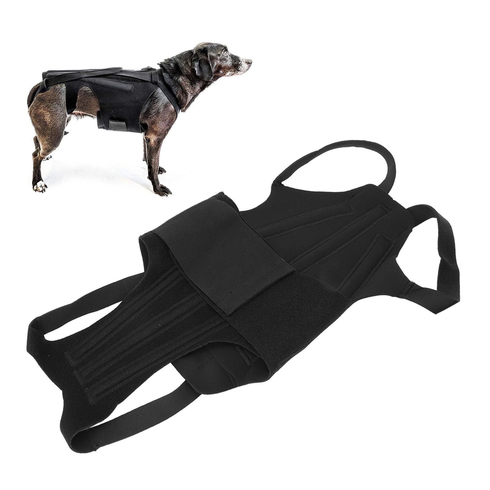 Dog Back Bracer Polyester Strong Rigidity Flexible Back Supporting Vest for Walking S