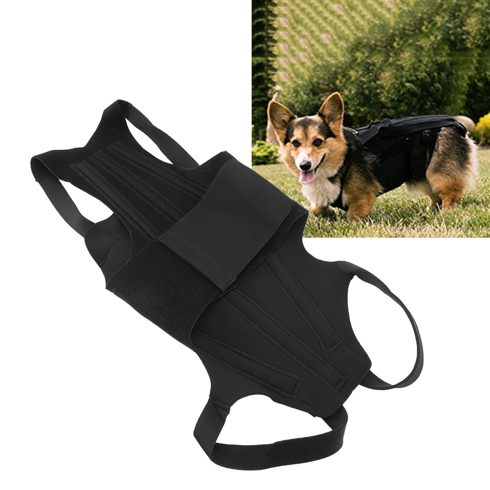 Dog Back Bracer Polyester Strong Rigidity Flexible Back Supporting Vest for Walking S