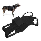 Dog Back Bracer Polyester Strong Rigidity Flexible Back Supporting Vest for Walking L