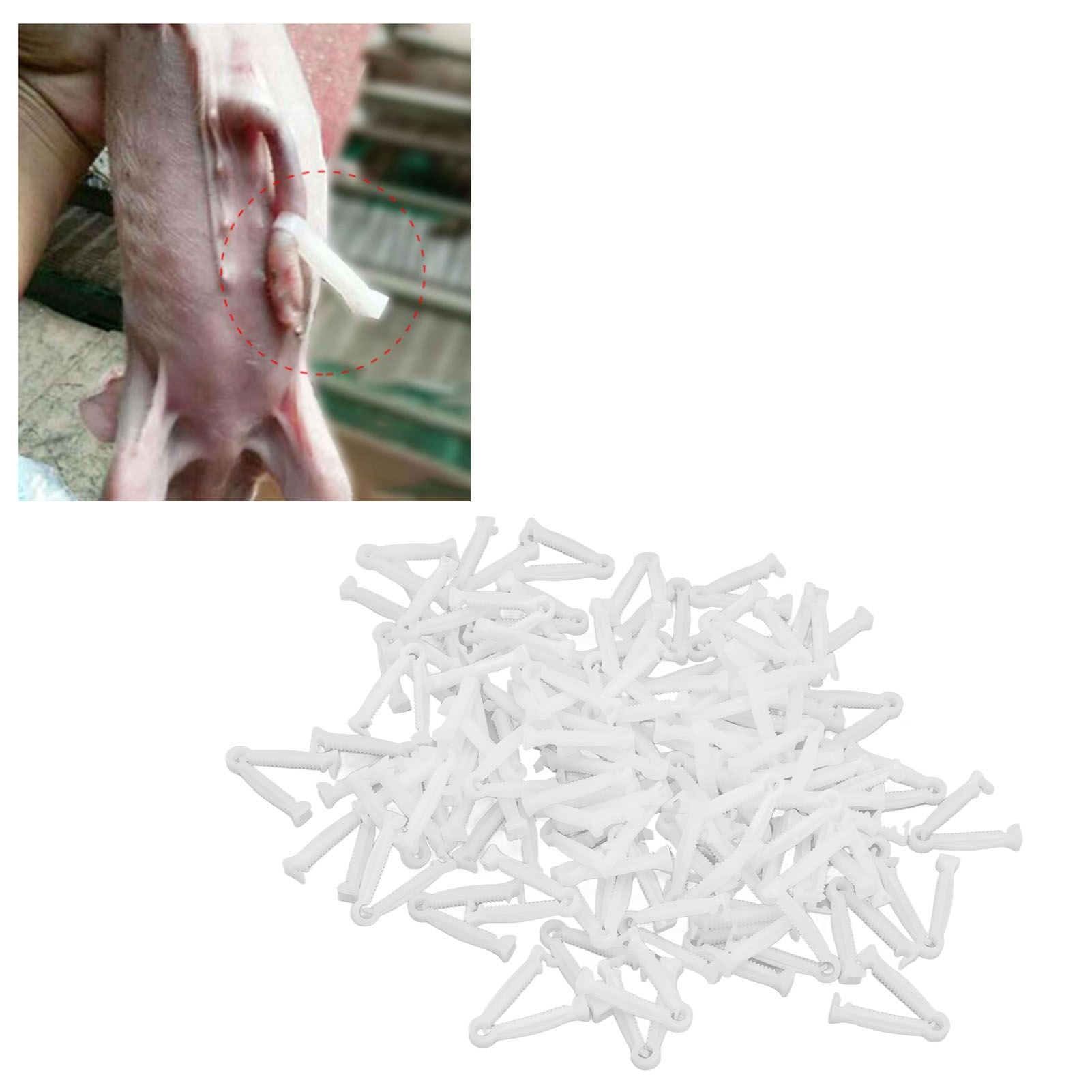 100pcs Pig Umbilical Cord Clamps White Plastic Livestock Umbilical Cord Clips for Production with 1 Hemostatic Forcep
