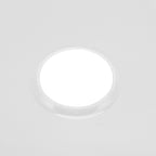 Food Dehydrator Water Tray Silcone Leak Proof Dehydrator Sheet for Nesco for FD660 Fruit Drying Machine Transparent