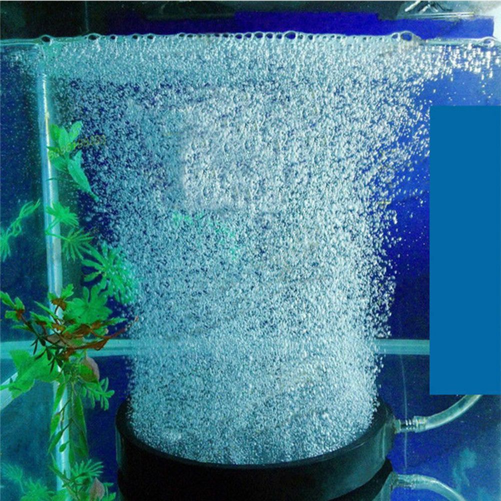 Air Stone for Aquariums Fish Tank Bubble Stone Replacement Disk Oxygen Pan Aquariums Accessories