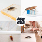 12Pcs Roach Traps Cockroach Killer Built In Bait Indoor Home Cockroach Bait Traps Child and Pet Safe