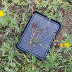 3Pcs Washable Boot Tray Garden Shoe Plate Multifunctional Tray for Plants Pets Tools