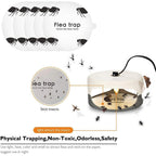 5 Pcs Flea Trap Stickers Round Sticky Fly Traps Dome Flea Trap Refill for Home Bedroom Pet House